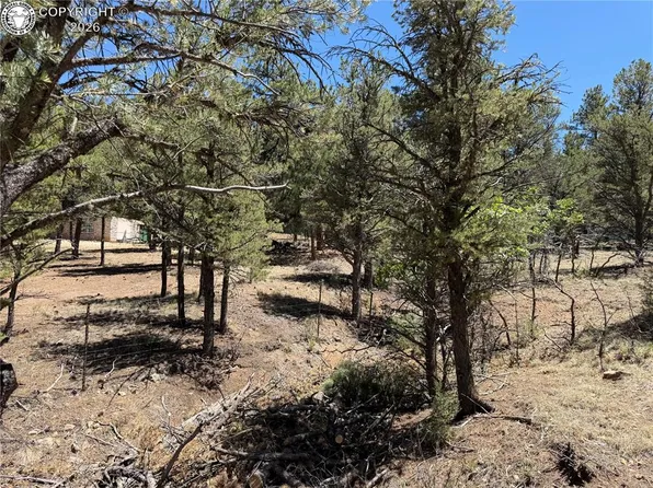 Township Road 136 Trl #16, Cotopaxi, CO 81223