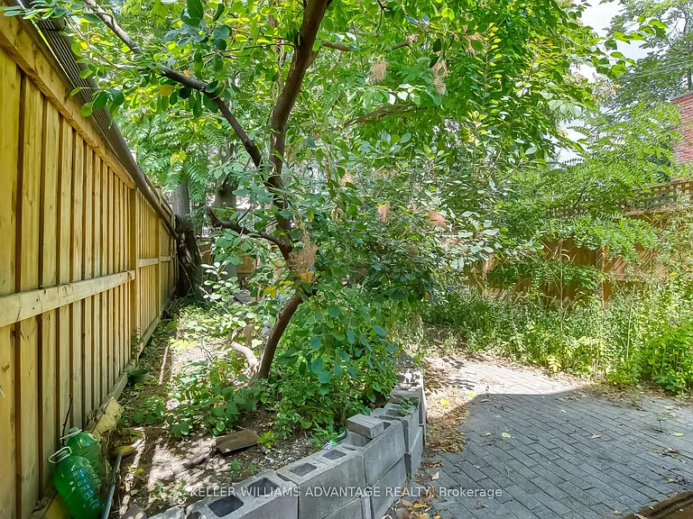 254A Carlton St — Photo 31