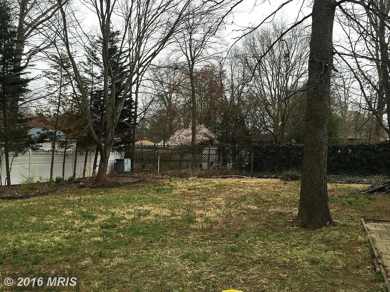 3 bed, 1596 sqft, $2,400 — Photo 4