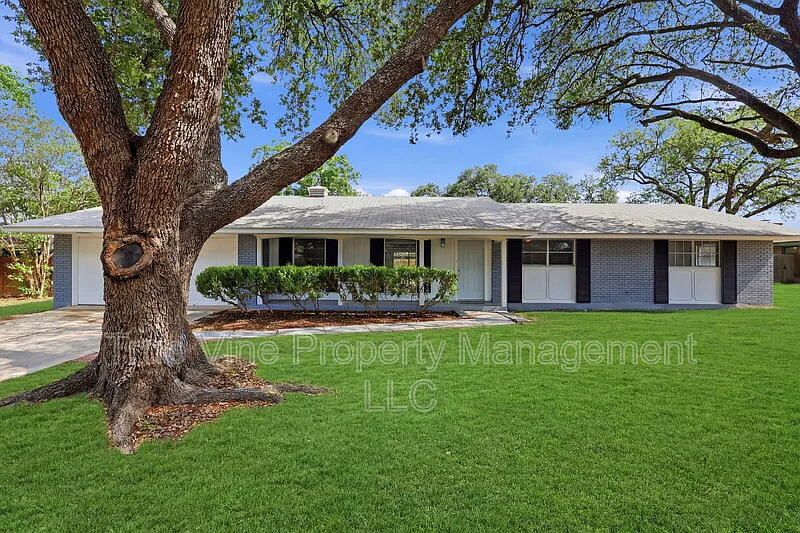 Building Photo - 413 Cloudmont Dr