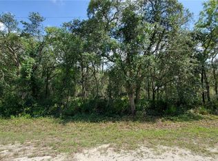 35017 Primrose Ln, Webster, FL 33597