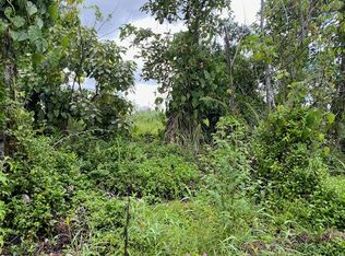 Opihikao Rd LOT B, Pahoa, HI 96778