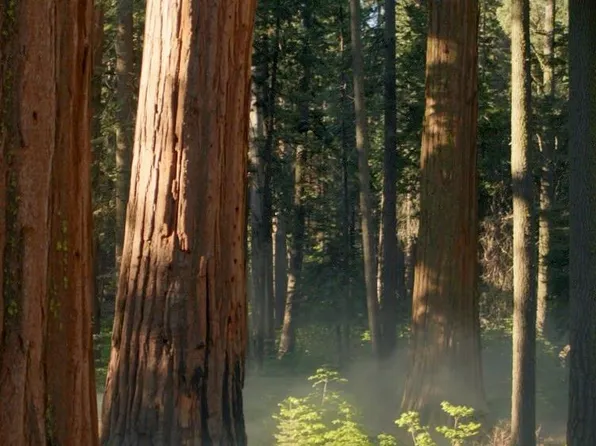 0 Woodward Rd, Providence, RI 02904