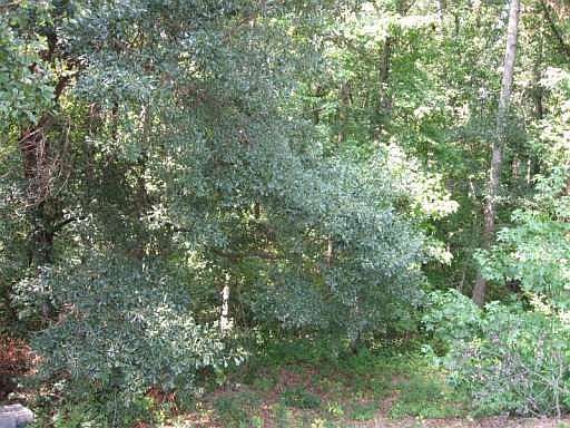 2nd image of 500 Piedmont Rd