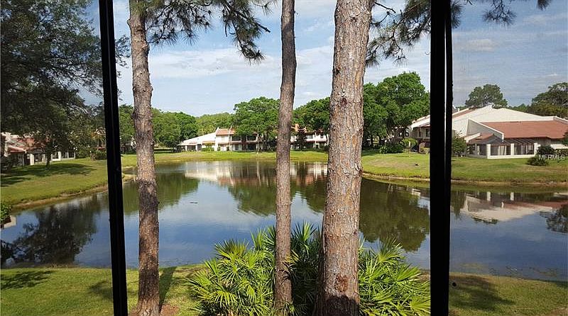 1st image of 3505 Tarpon Woods Blvd APT L407