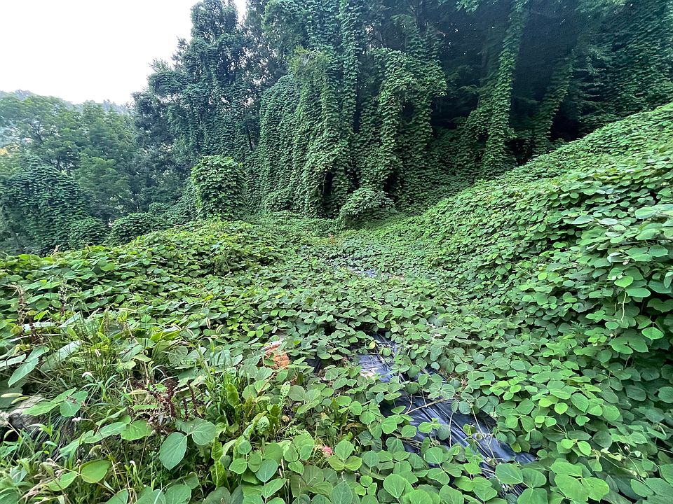 23198 Us Highway 421, Hyden, KY 41749 Zillow