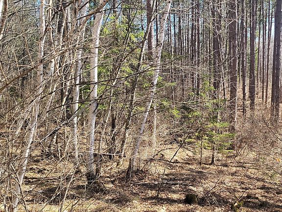 4th image of On Hunter Lake Rd