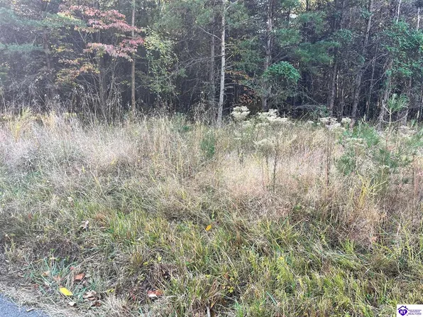 4 Little Clifty Rd, Big Clifty, KY 42712