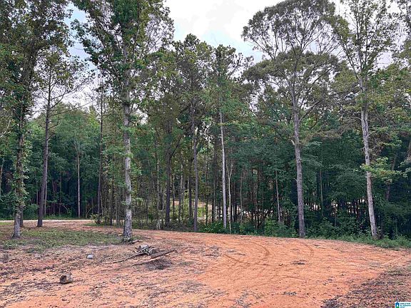 4th image of TRACT One 343 County Rd #892