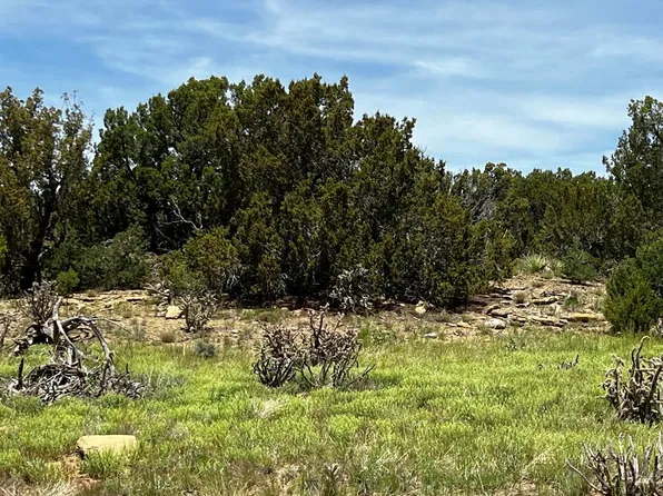 LOT 589 La Deora Blvd, Walsenburg, CO 81089