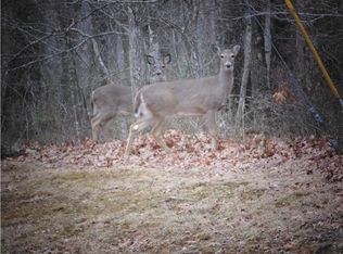 2211 Westlake Ave LOT 24, Monteagle, TN 37356