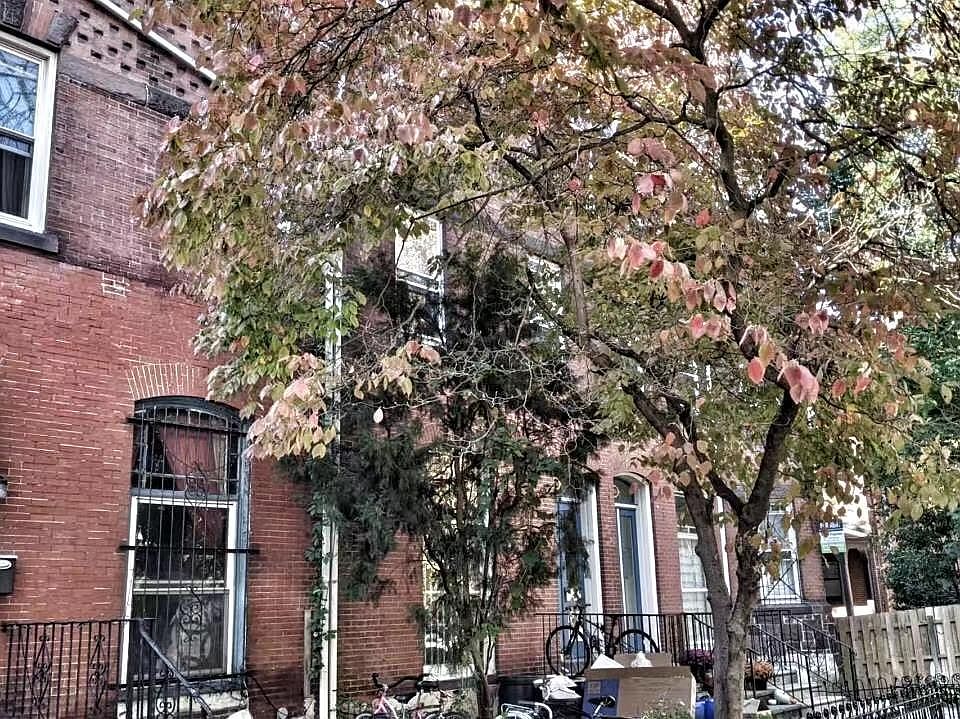 1st image of 322-1 S 42nd St