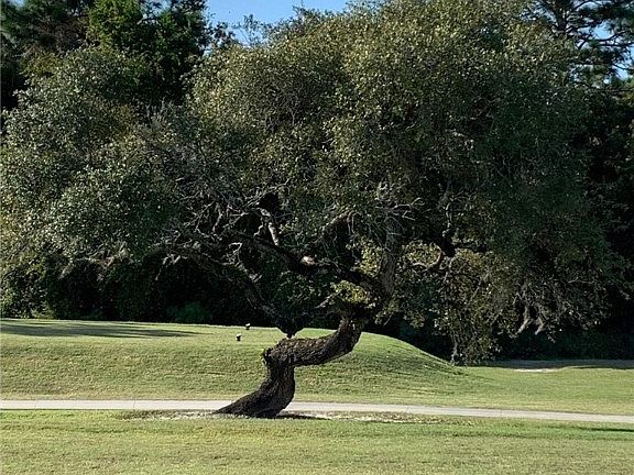 5th image of 525 W Twisted Oaks Dr