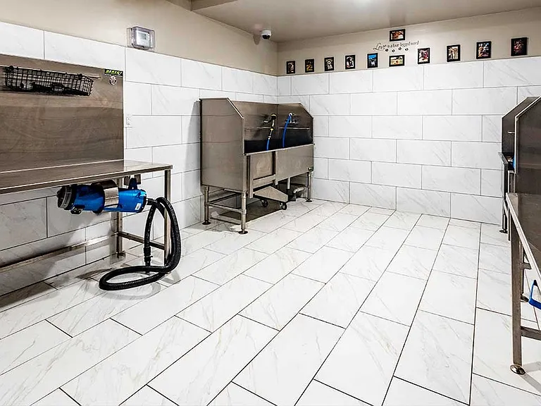 Paw Spa with Wash and Dry Stations