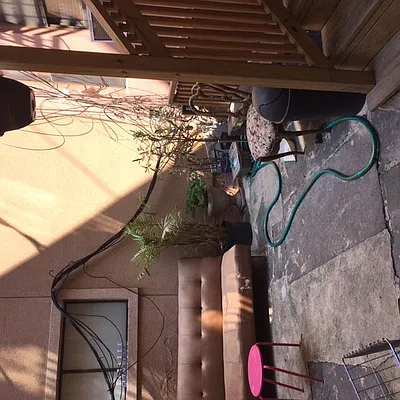 Rented by Nooklyn NYC LLC | media 15
