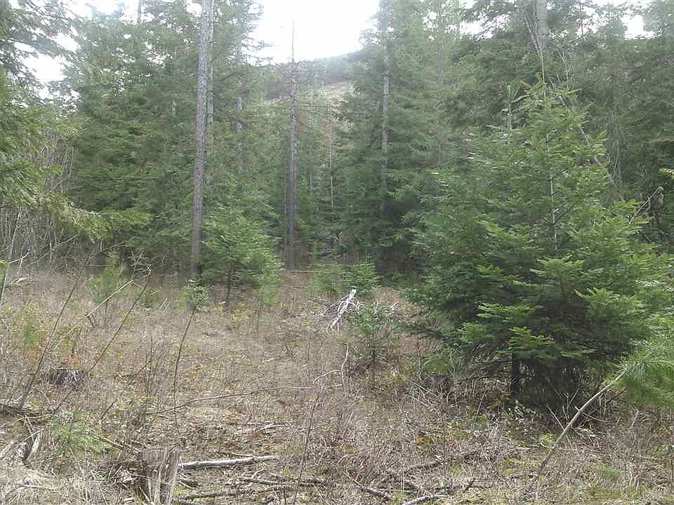 2nd image of 0 Saddle Mountain Dr