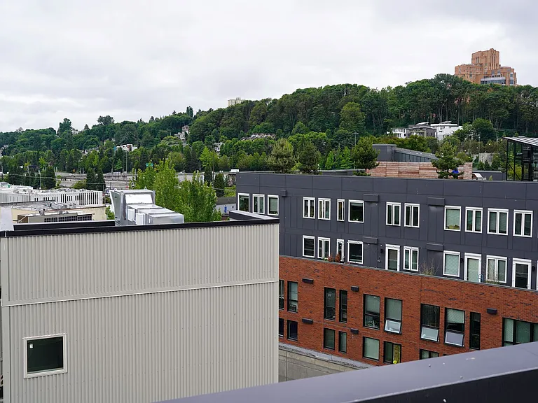 South Lane Apartments — Photo 8