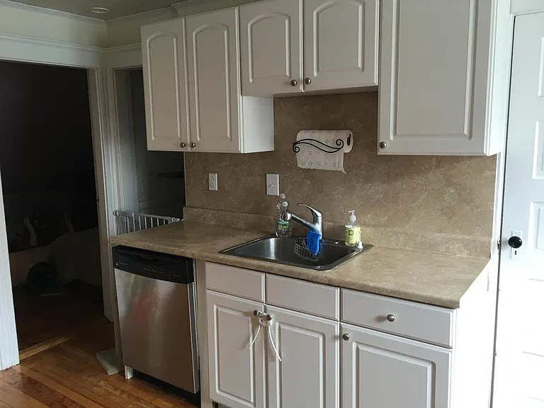 Dishwasher and garbage disposal