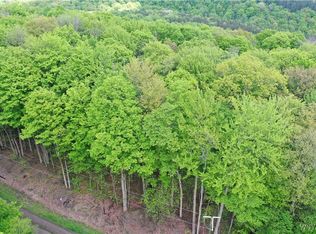 0 Dublin Rd #11, Salamanca, NY 14779