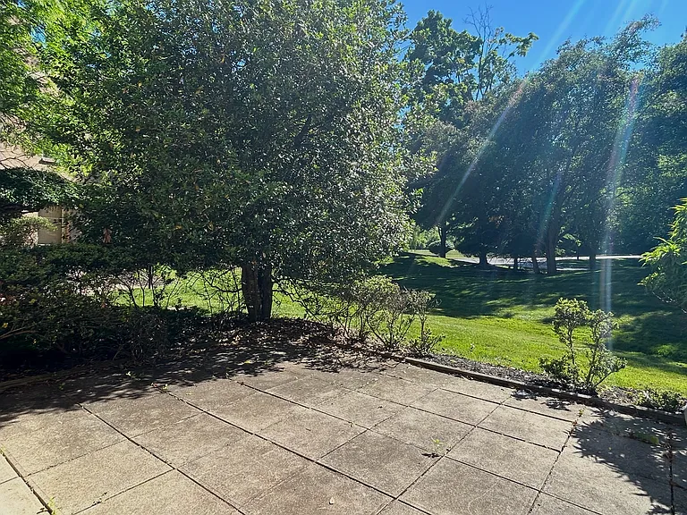 private back yard
