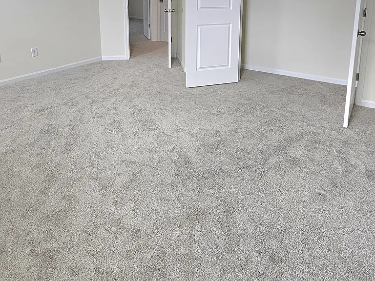 401 Bear Tree Ct — Photo 16