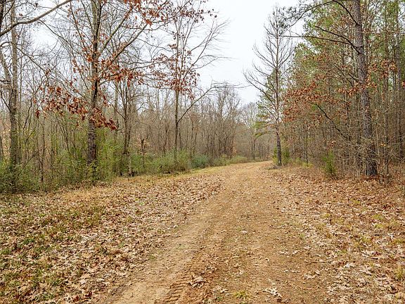 4th image of 10970 Pea Vine Rd