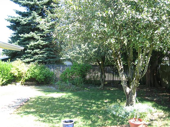 Large Garden