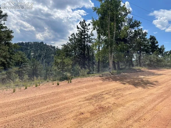 42 & 58 Quandry Cir, Florissant, CO 80816