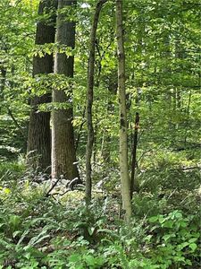 County Road 425, Fresno, OH, 43824