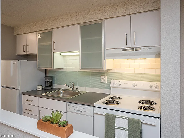 805 Dahlia — Photo 14