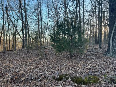 18-01457-030 Posy Mountain Turnoff, Rogers, AR, 72756