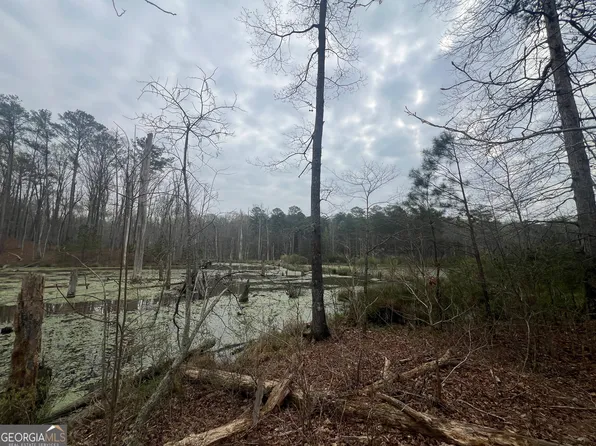 0 Bethlehem Church Rd, Grantville, GA 30220