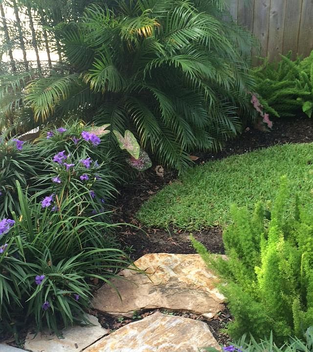 Yard 2