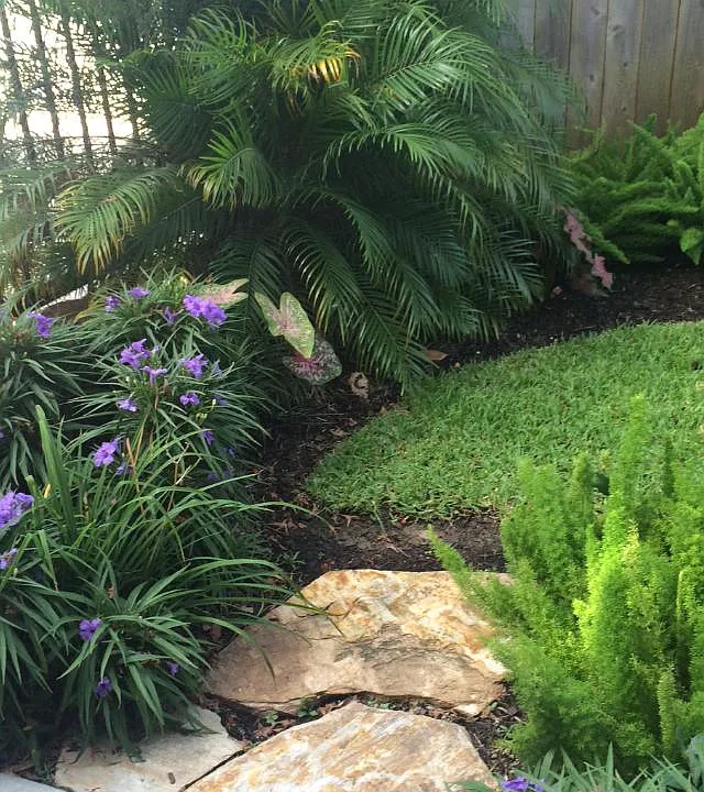 Yard 2