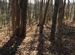 3-3B Hidden Valley Rd, Hiawassee, GA 30546