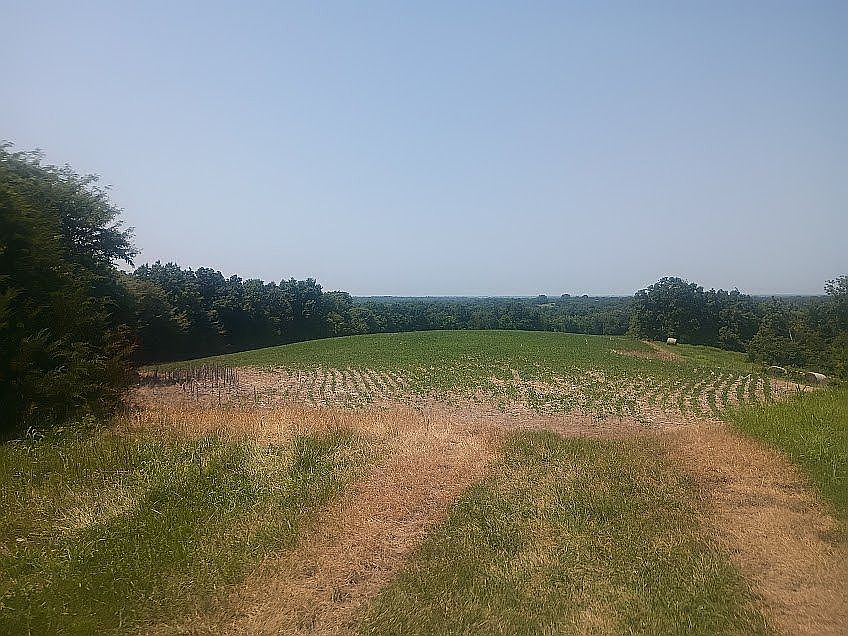 1st image of TRACT 2 And 3 County Rd #442