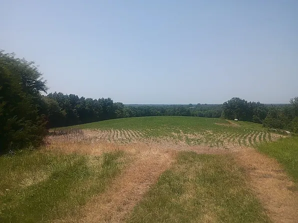 TRACT 2 And 3 County Rd #442, New Franklin, MO 65274