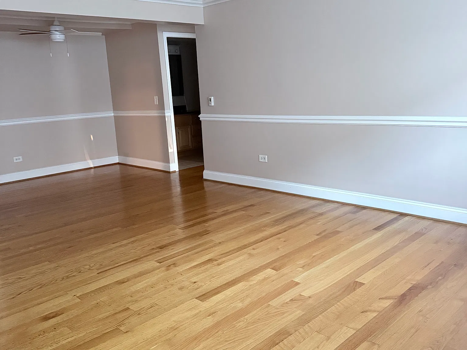 1 bed, 750 sqft, $1,500 — Photo 4
