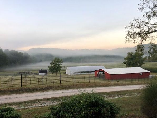 38205 County Road Ee-270, Vanzant, MO 65768