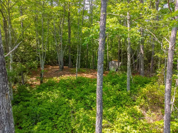 0 Welch Rd, Franklin, NC 28734