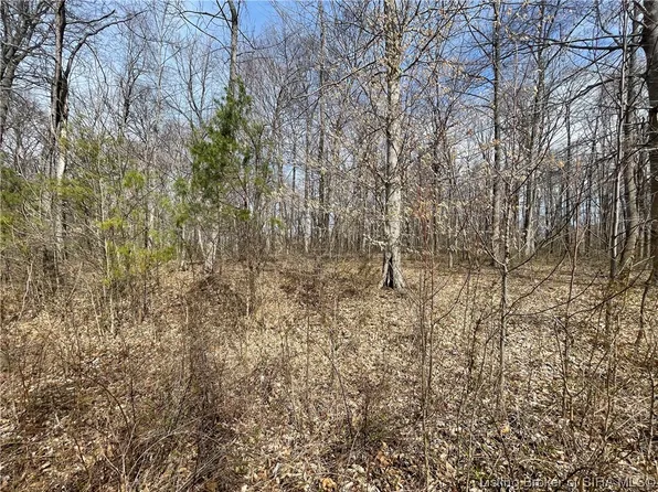 W Of Franklin School Road, Pekin, IN 47165