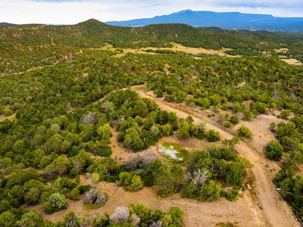 0 Cottonwood Way, Boncarbo, CO 81024