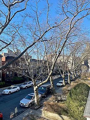 1st image of 1055 Carroll St Floor 1