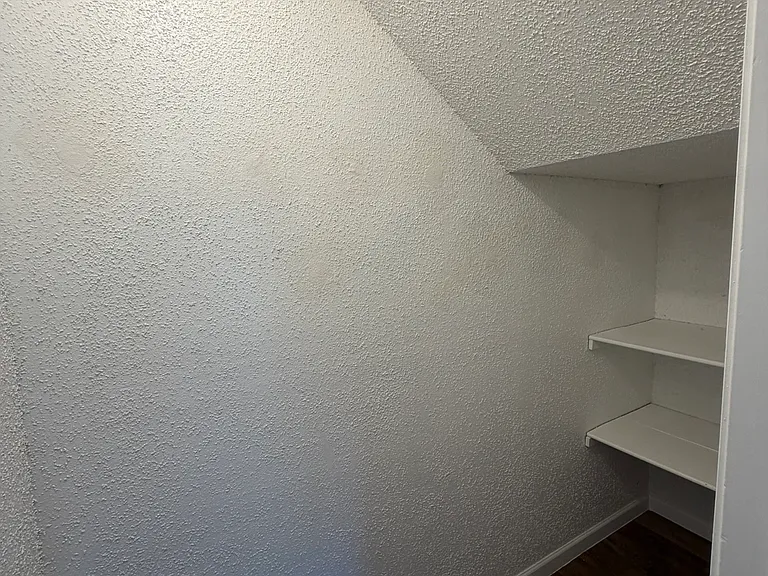 Large walk-in closet in downstairs dining room/den