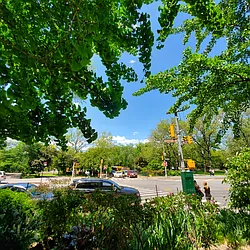 Rented by THOMAS F CAMPENNI CO