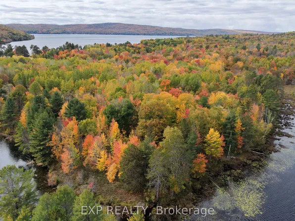LOT 9 Casson Trl, Madawaska Valley, ON K0J 1B0