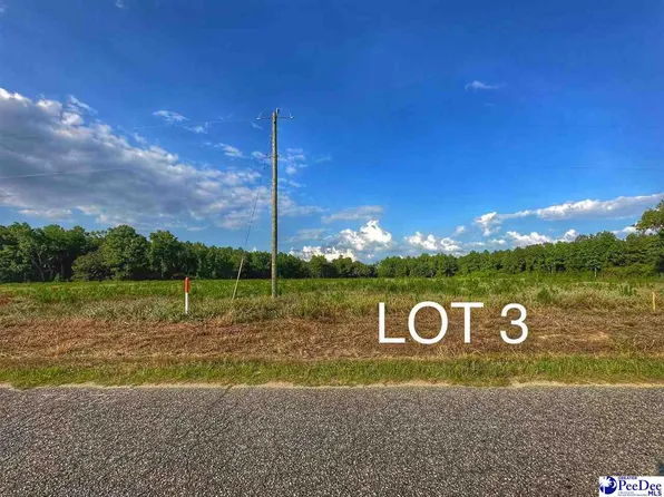 LOT 3 Oliver Rd, Hamer, SC 29547