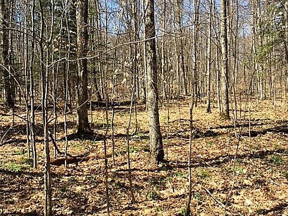2nd image of 17290 County Road 468