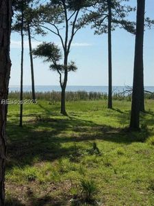 86 Martinangel Ln, Daufuskie Island, SC, 29915