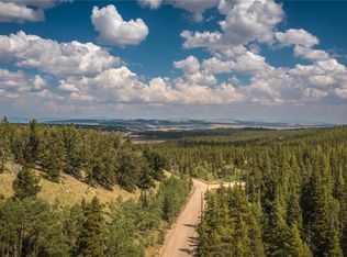 670 Venture Rd, Fairplay, CO 80440